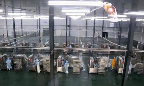 投資超2.5億 今年,長葛西南部要建一個商貿(mào)城 一個食品產(chǎn)業(yè)園